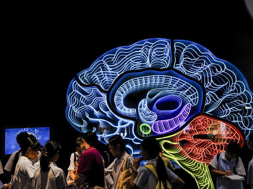 8月27日 特惠98元 深圳新地标：新科学技术馆、南头古城1天摄影 商品图3