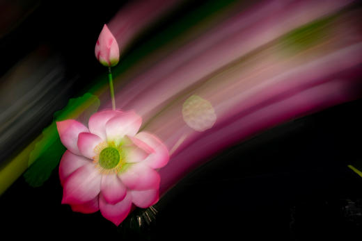 特惠！8.20室内实操课【摄影六曝】玩转曝光技法，解锁光影密码！ 商品图9