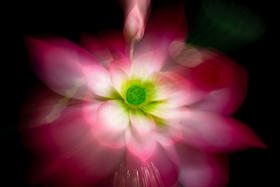 特惠！8.20室内实操课【摄影六曝】玩转曝光技法，解锁光影密码！