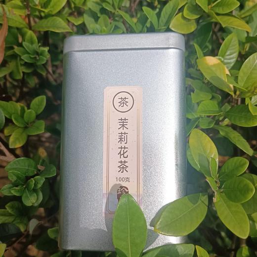 生态茉莉花茶  【基地直发】| 产地：广西横州 | 生产者：中团茉莉花生态农场【公平贸易农人定价】 商品图3