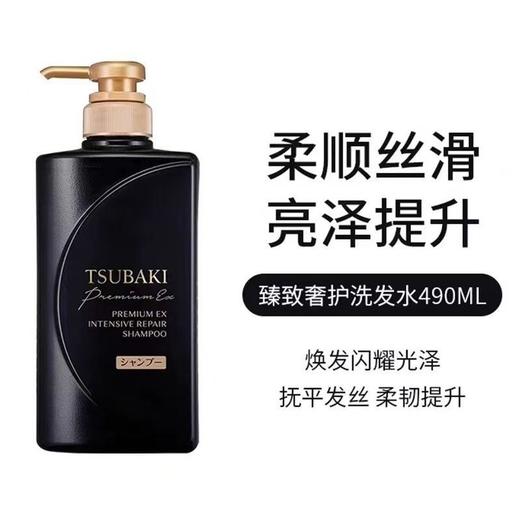 丝蓓绮黑耀瓶沁耀臻致奢护洗发露490ml烫染受损干枯毛躁发质效期25年10月 商品图1