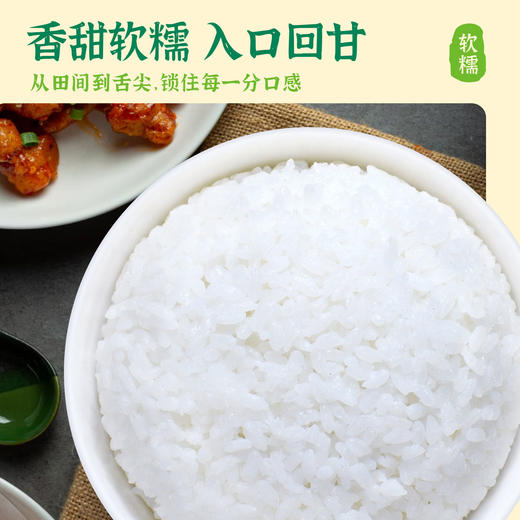 【云谷稻香米】华大万物云谷稻香米圆润饱满香甜软糯多年生大米真空包装2.5kg 商品图2