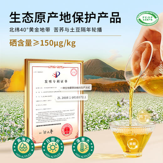 雁门清高富硒黑苦荞茶礼盒240g山西苦荞全胚芽荞麦茶礼盒 商品图4