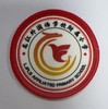通版佛山市顺德区龙江外国语学校附属小学包边校徽可缝烫现货发51 商品缩略图0