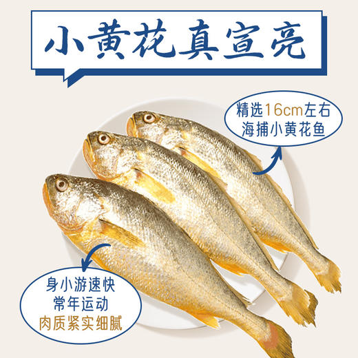 船歌鱼水饺青岛特色野馄饨组合1244g120只 儿童早餐抄手小云吞 紫菜虾皮混沌 商品图3