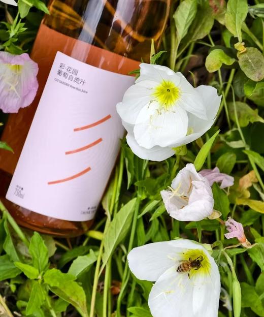 第283期丨彩·花园无酒精云南葡萄自流汁，茉莉花香 高原国货。 商品图5