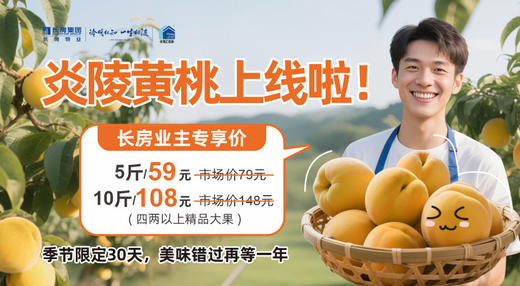 试验分销 商品图0