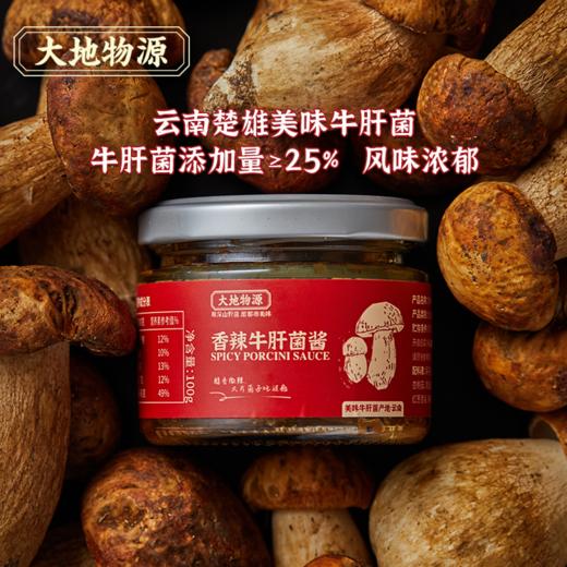 大地物源 香辣牛肝菌酱 热辣滇式 辣而不刺激 大片菌子拌面一绝 商品图3