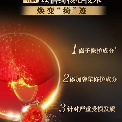丝蓓绮黑耀瓶沁耀臻致奢护洗发露490ml烫染受损干枯毛躁发质效期25年10月 商品图3