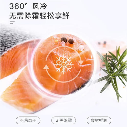 海尔智家Leader统帅冰箱 冰雪白217升一级双变频 风冷无霜租房家用电冰箱 商品图4