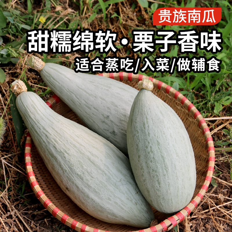 安心优选 贵族南瓜 1个（1斤以上） 粉糯香甜  栗子香味儿浓 可蒸可炖菜做粥