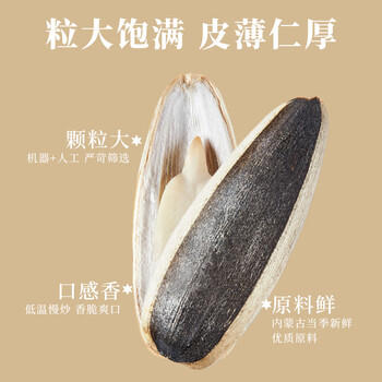 胖农坚果炒货 内蒙古原味大瓜子220g罐装 炒熟363葵花籽毛嗑健康零食 商品图1