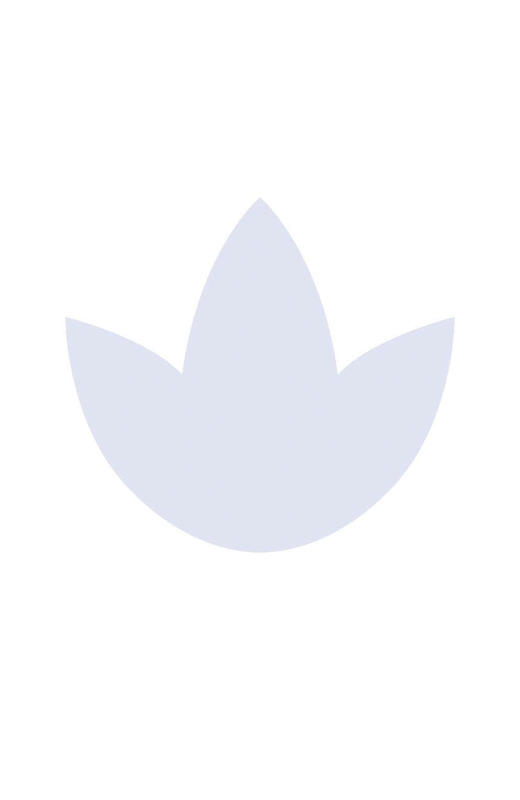 莱拉·斯塔尔的多重死亡：笔墨版 Many Deaths Of Laila Starr Pen & Ink 商品图1