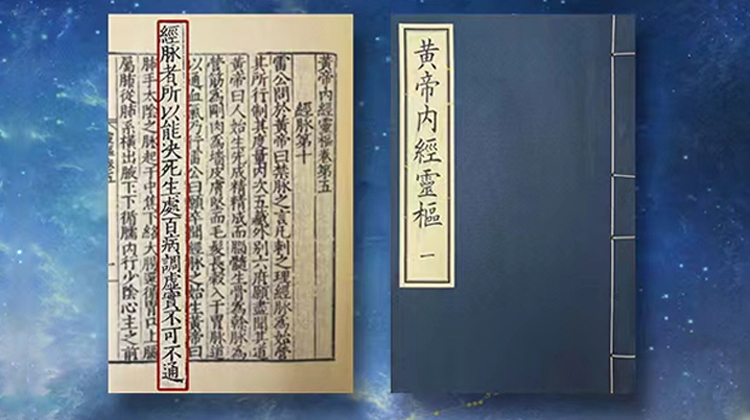 《黄帝内经》十二经脉动态循行流注（2025全新升级版）