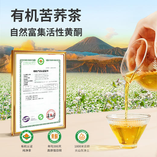 雁门清高 有机黑苦荞茶280g山西苦荞茶全胚芽荞麦茶 商品图2