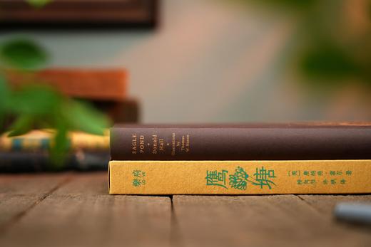 【版画版】鹰塘 自然文学的永恒经典 桂冠诗人 唐纳德·霍尔辞去教职归乡生活 借诗人之眼感受四季 归隐田园的故事 商品图3