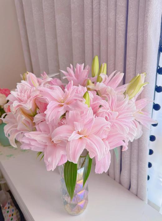 重瓣百合粉蝶【蝴蝶即使飞不过沧海，也没有人忍心责怪】简小姐精选 新品 重瓣百合粉蝶 下单后5天内发货 商品图6