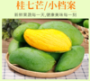 广西桂七芒果10斤礼盒装（净重9斤14-16个单果300克+） 商品缩略图2