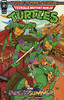忍者神龟 周六晨间冒险 无尽夏日 Idw Endless Summer—Teenage Mutant Ninja Turtles: Saturday Morning Adventures 商品缩略图0