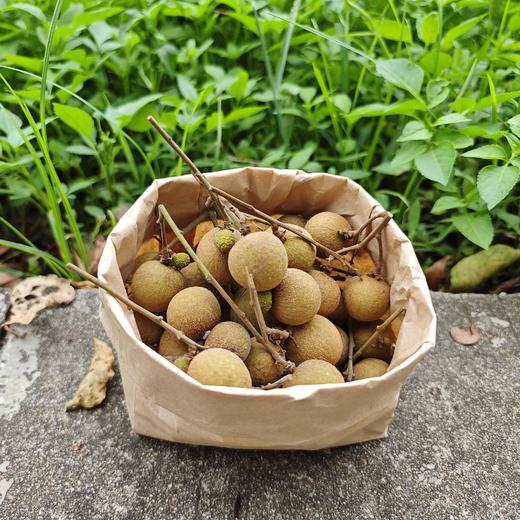 生态龙眼 | 绿家自产 * Eco-longan | In-House Production 商品图2