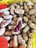 云南七彩花生/黑花生  新鲜生花生 嫩香甜 水分足 商品缩略图4