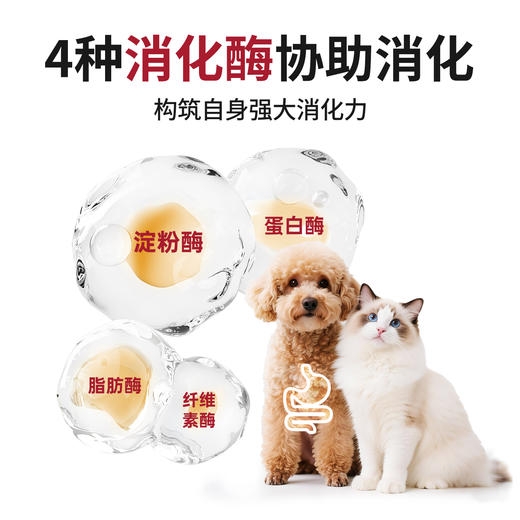 佐愈日护系列宠物营养补充剂E1000益肠宝60g/盒 商品图3