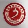 通版佛山市顺德区建安初级中学包边校徽标姓名贴章可缝烫现货发51 商品缩略图0