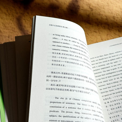 他山之石 国际中文教育研究前沿 全球中文发展研究 第五辑 商品图13