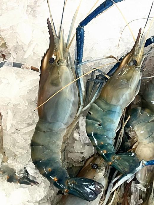 【淡水虾中的佼佼者】买1斤送半斤 市面少有特大号  罗氏虾 好吃到舔手指 商品图2