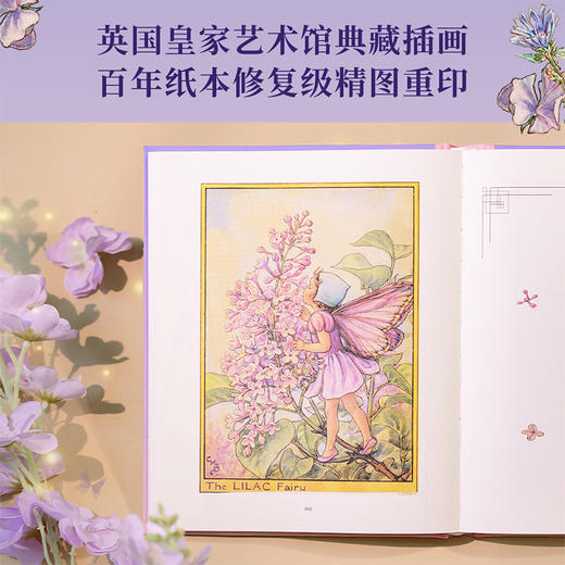 遇见花仙子（艺术与科学的完美结合：梦幻般绝美的收藏级插画搭配有趣有料的植物知识，兼具观赏性与科普性。） 商品图3