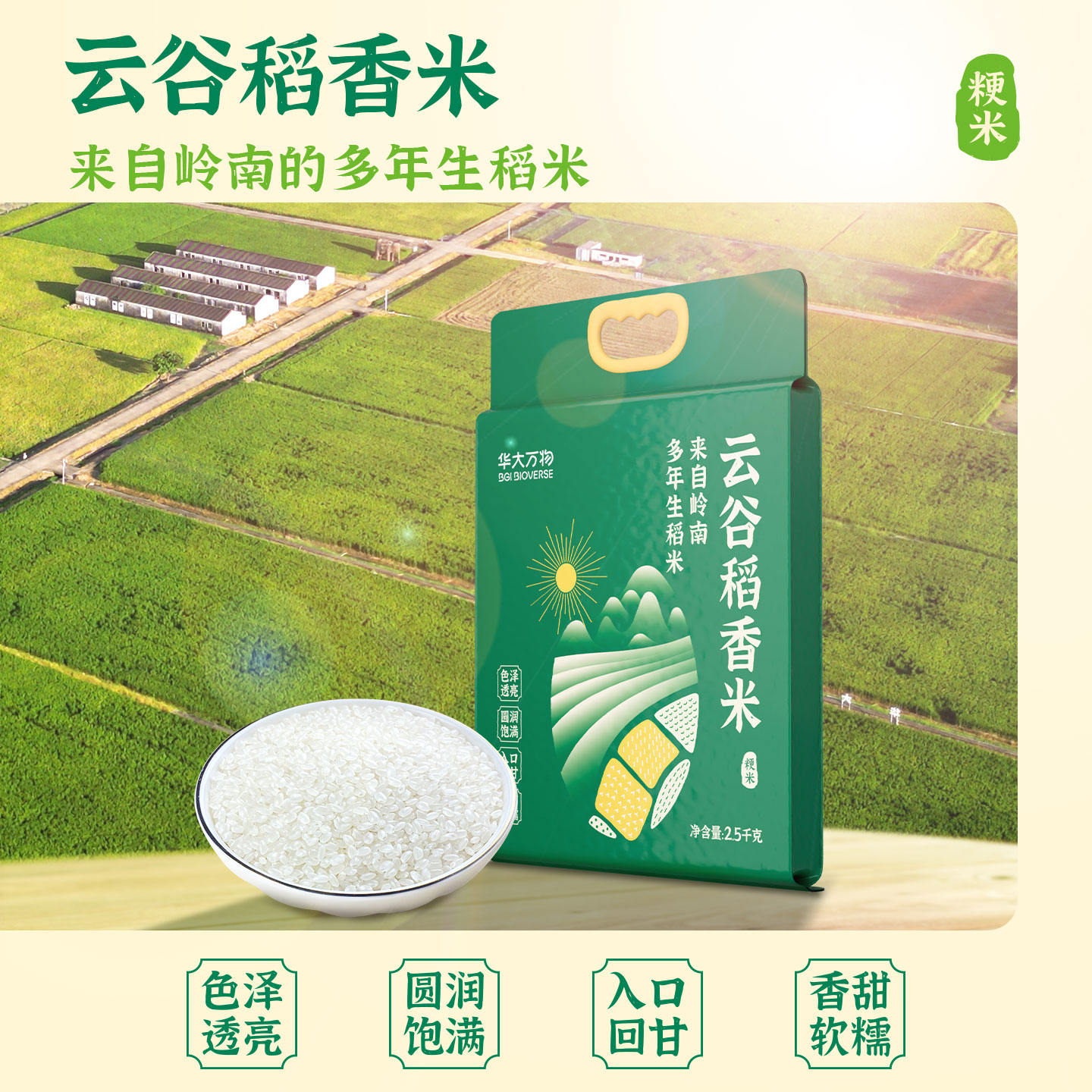 【云谷稻香米】华大万物云谷稻香米圆润饱满香甜软糯多年生大米真空包装2.5kg