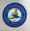 通版佛山市顺德区新球初级中学包边校徽校服礼贴章可缝烫现货发51 商品缩略图0