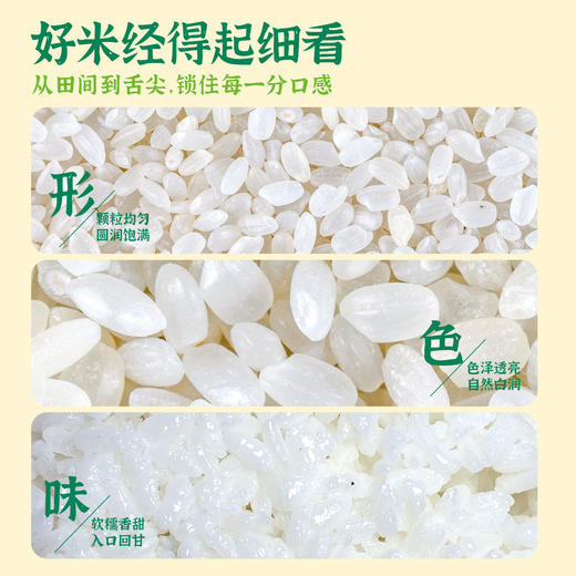 【云谷稻香米】华大万物云谷稻香米圆润饱满香甜软糯多年生大米真空包装2.5kg 商品图4