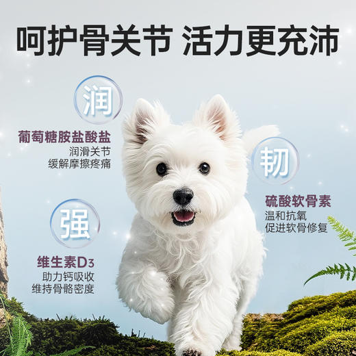 INNE益纳焕能系列全价犬粮P70 商品图2