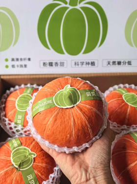 网红金贝贝南瓜，口感一流，粉，糯，香，甜，层层起沙的粉，口感绵软的糯，浓郁的板栗香，不噎人，一点不水的高甜！3.5-3.8斤/箱