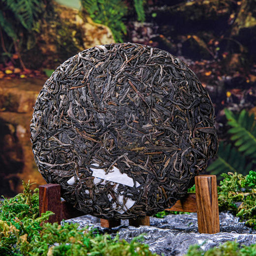 [买5送1]2023《茶坪》古树春茶 200克*1饼 生茶 商品图1