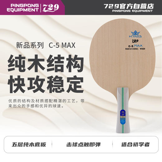 [学生套餐] 友谊729 新品C-5 MAX 全木底板 新手训练用儿童底板 商品图5
