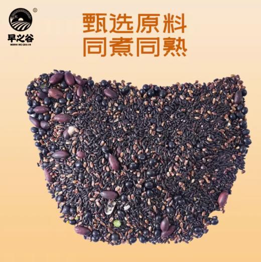 900g早之谷五黑粥 商品图1