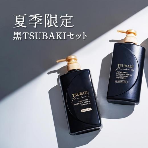 丝蓓绮黑耀瓶沁耀臻致奢护洗发露490ml烫染受损干枯毛躁发质效期25年10月 商品图8