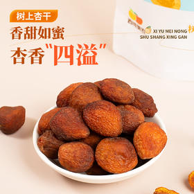 西域美农树上杏干200g*3袋