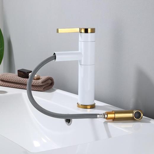 5419 白金圆抽拉-低 商品图1