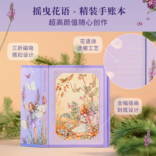 遇见花仙子（艺术与科学的完美结合：梦幻般绝美的收藏级插画搭配有趣有料的植物知识，兼具观赏性与科普性。） 商品图7