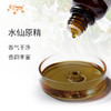 水仙原精 Narcissus CO2萃取精油芳疗护理香氛调香香薰香水 批发 商品缩略图1