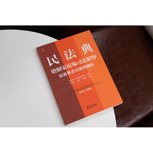 民法典婚姻家庭编司法解释实务要点与案例精析 北京市兰台律师事务所编著 李显冬 王丽 王慧婕主编 法律出版社 商品图7
