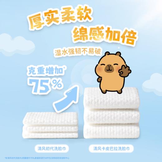 清风 净润肌洗脸巾80抽3包 卡皮巴拉联名款 挂抽两用 48小时发货 商品图3