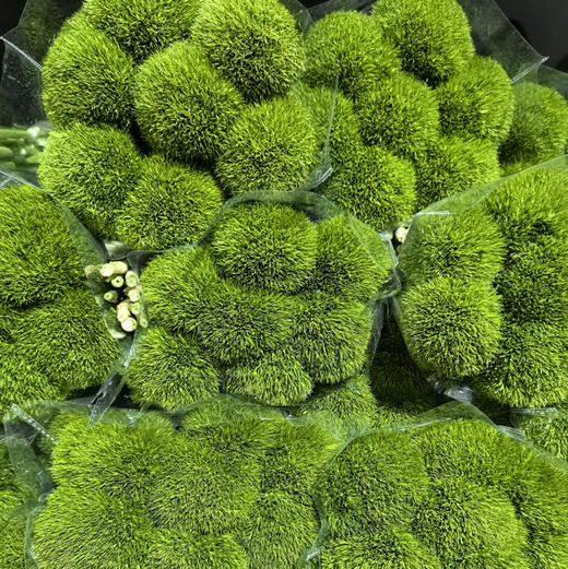 绿毛球 商品图2