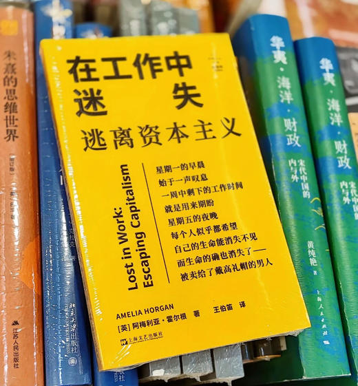 在工作中迷失：逃离资本主义 [英] 阿梅利亚·霍尔根 著 王伯笛 译 上海译文出版社 商品图0