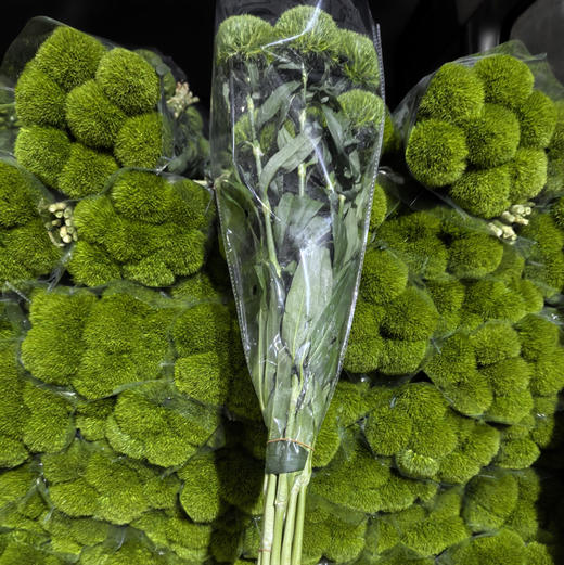 绿毛球 商品图1