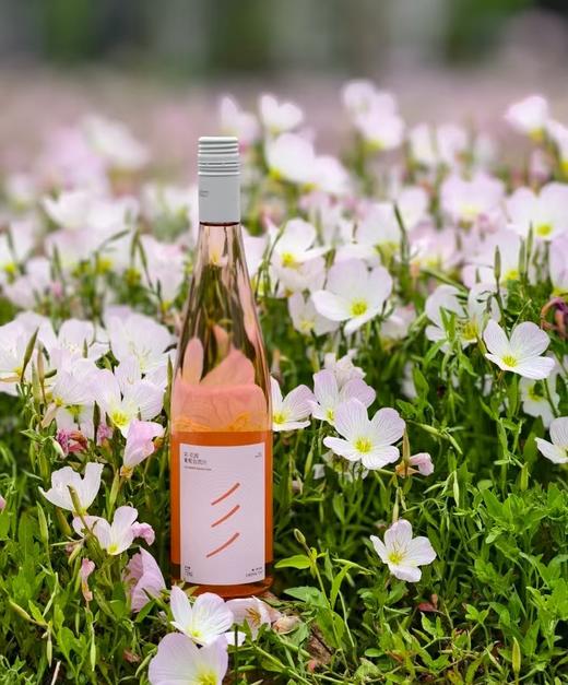 第283期丨彩·花园无酒精云南葡萄自流汁，茉莉花香 高原国货。 商品图4