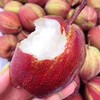  陕西彩虹梨，脆甜多汁，清爽甜蜜！去油腻！ 商品缩略图0